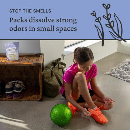 Lavender Odor Eliminator Packs, 6-Pack for Small Spaces and Closets
