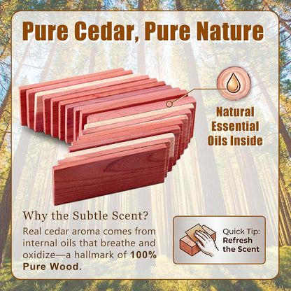 Cedar Wood Storage Blocks for Clothing, Set of 32 Cedar Chips